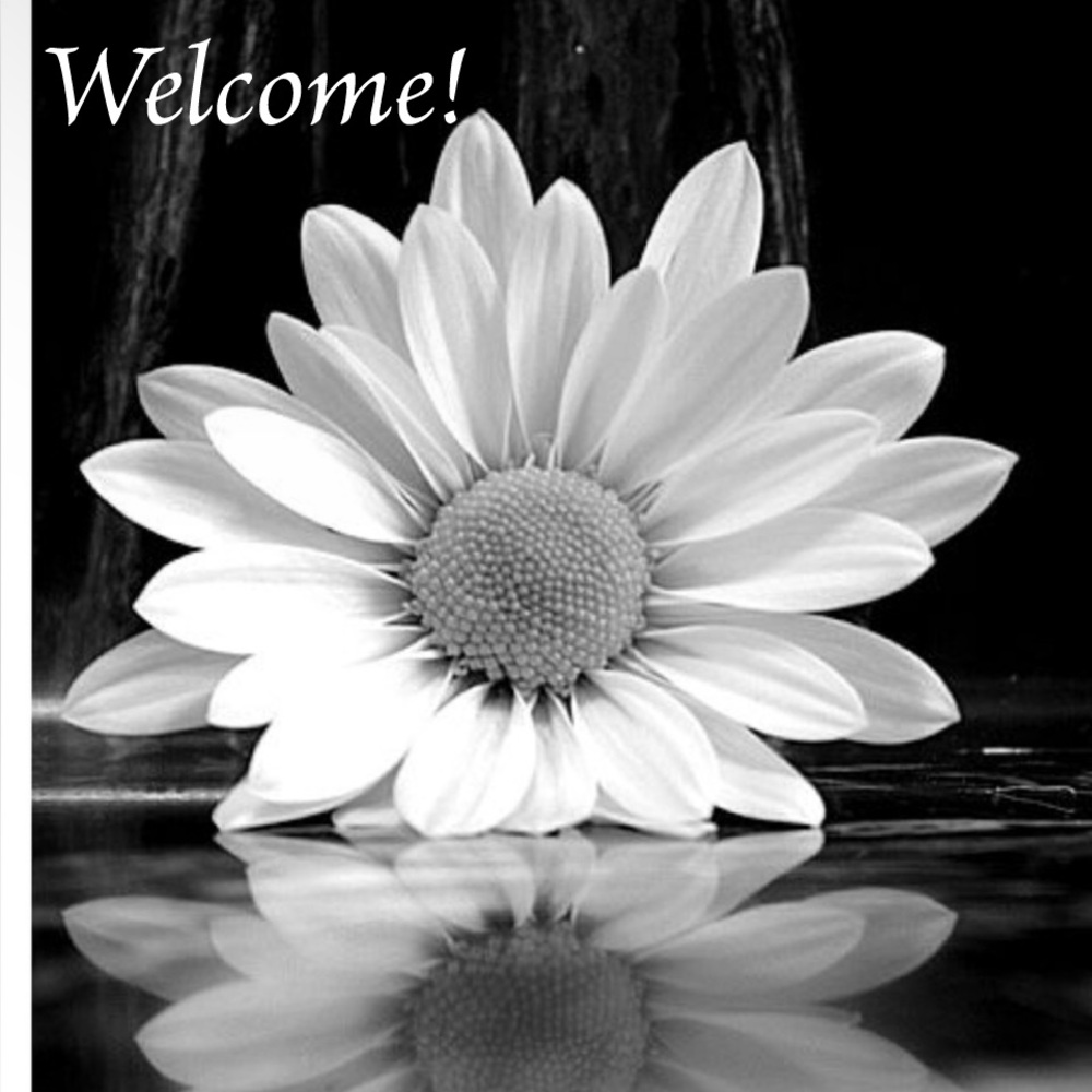 Welcome!🌼